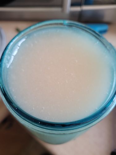 Customer photo review of The Raw Sea Moss Bundle