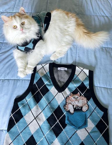 Customer photo review of Custom Argyle Sweater Vest