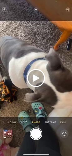 Customer video review of Blue