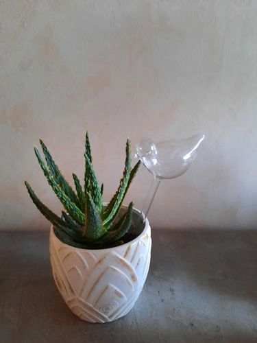 Customer photo review of Mon petit oiseau - Le Jardin de Mamie®