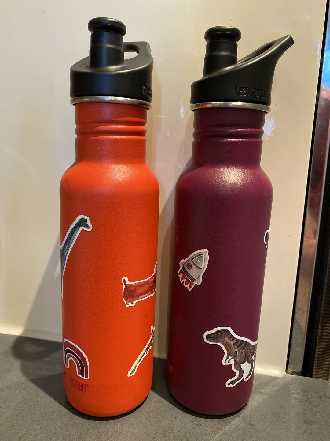 Customer photo review of spülmaschinenfeste Sticker Dinos