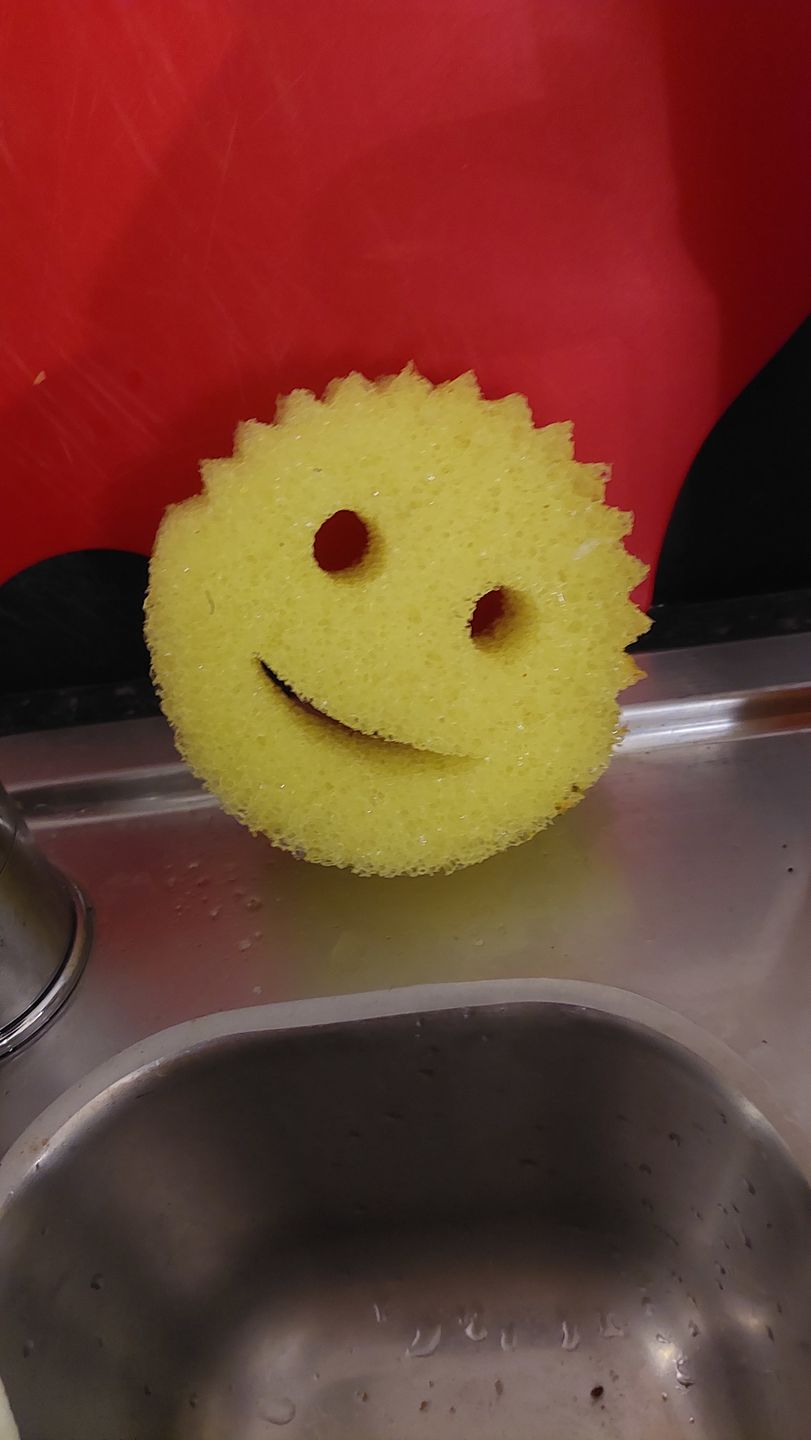 Customer photo review of Scrub Daddy Family (6 Pack)