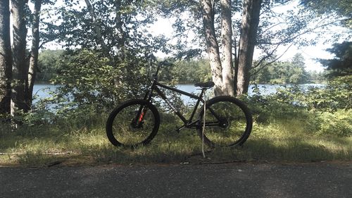 Customer photo review of Twenty6er - BMX 26"