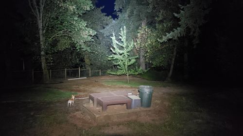 Customer photo review of Oxbow Voyager Dirt Bike Helmet Light Kit
