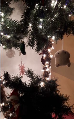 Customer photo review of PeePee Pillow