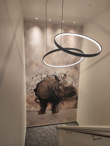 Customer photo review of Rhino Breakthrough - Custom Sized Wallpaper Mural (per m2)