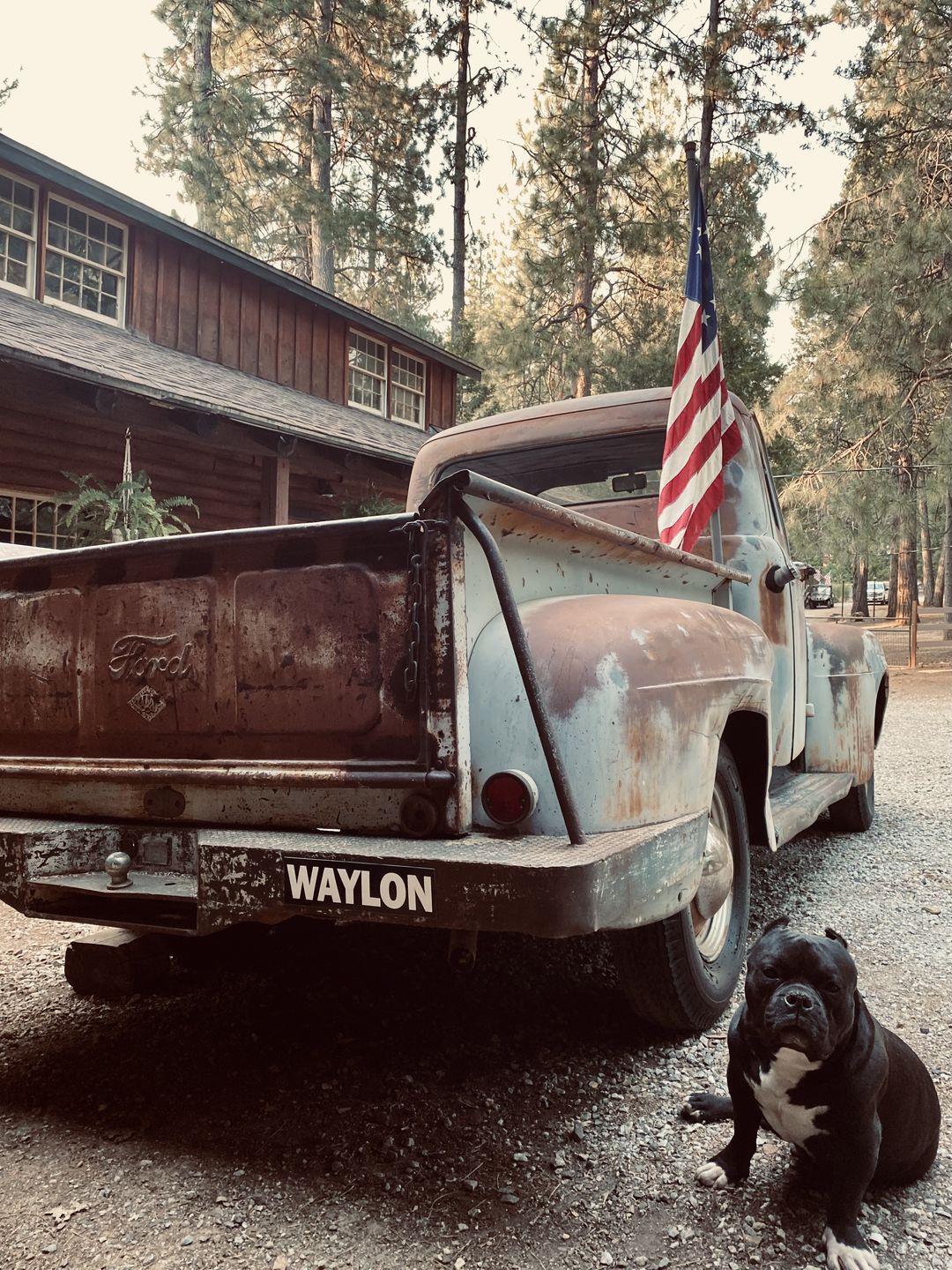 Customer photo review of Waylon Bumper Sticker
