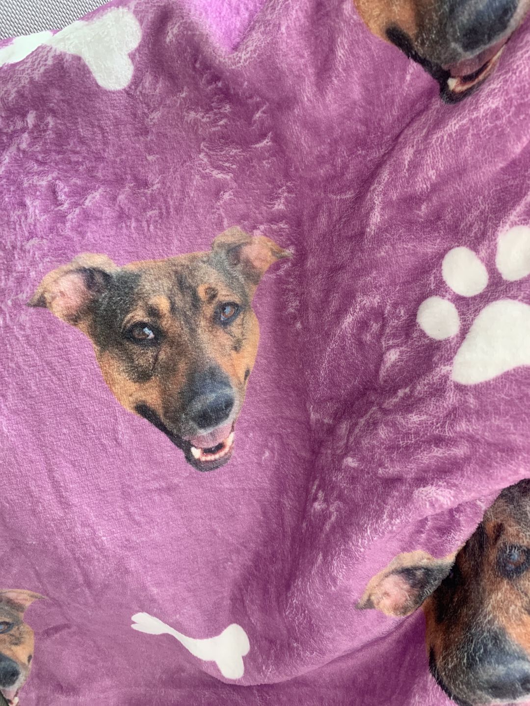 Customer photo review of Customized Pet Multi-Head Blanket with Bones