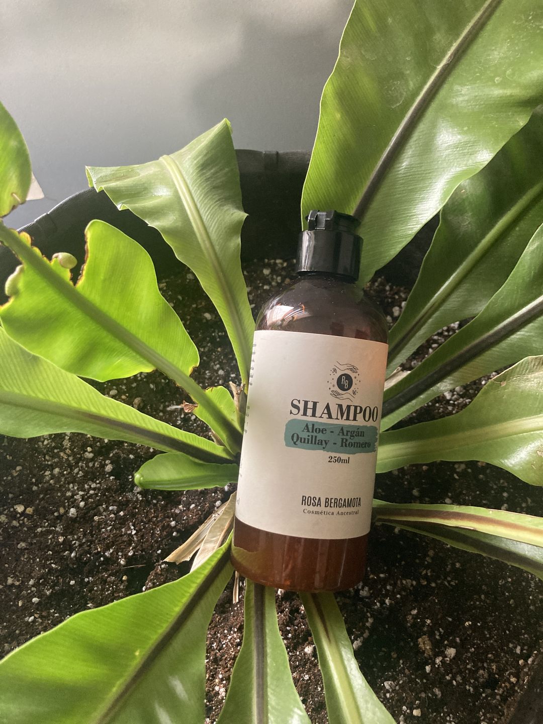 Customer photo review of Shampoo Anticaída 250ml