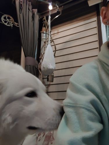 Customer photo review of Cloud Cotton™ Hoodie