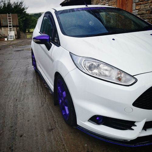 Customer photo review of Fiesta ST180 Fog Light Armour