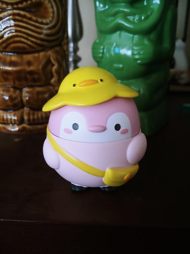 Customer photo review of Positive Energy Penguin Gosling Garden Blind Box