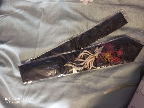 Customer photo review of Harajuku Style Fox Necktie