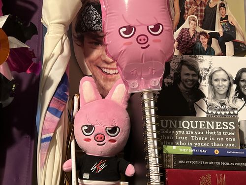 Customer photo review of Official Stray Kids SKZOO Plush (Original Ver)