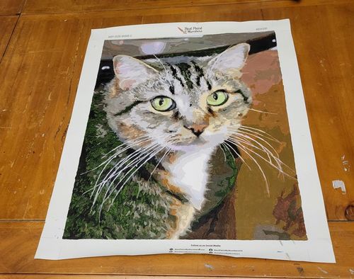 Customer photo review of BPBN Shipping Protection