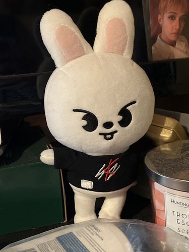Customer photo review of Official Stray Kids SKZOO Plush (Original Ver)