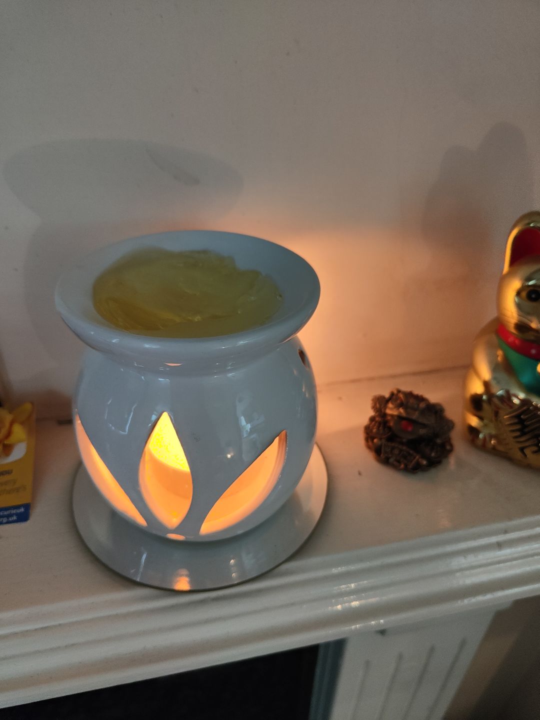 Customer photo review of Floridian Dreams Gel Melt