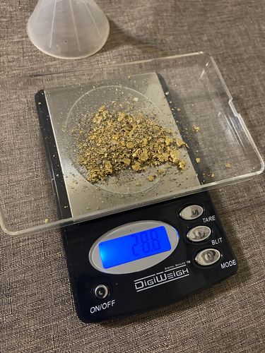 Customer photo review of Nugget Reserve 'MUSEUM SPECIMEN CHASE' - Gold Panning Paydirt Concentrate