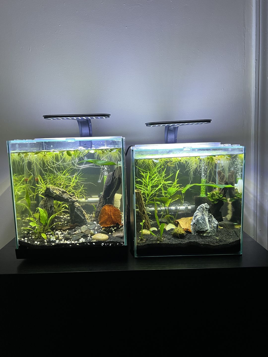 Customer photo review of Fritz COMPLETE Water Conditioner
