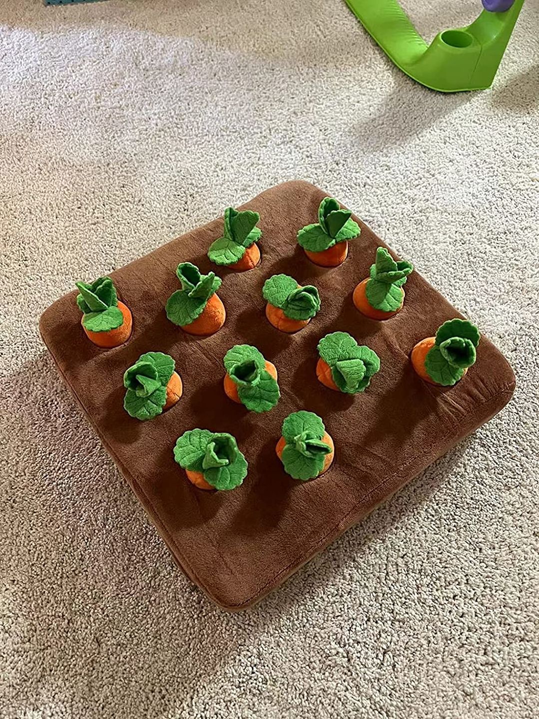 Customer photo review of Carrot Farm