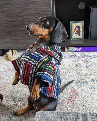 Customer photo review of Playa Poncho - Surprise Color