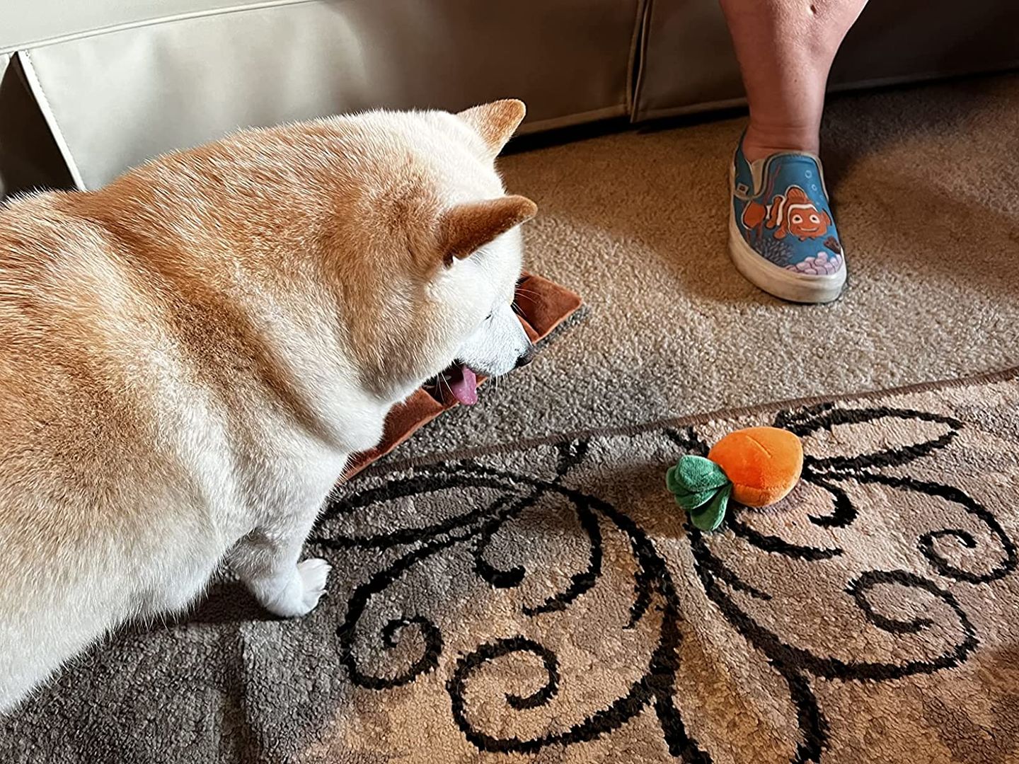 Customer photo review of Carrot Farm