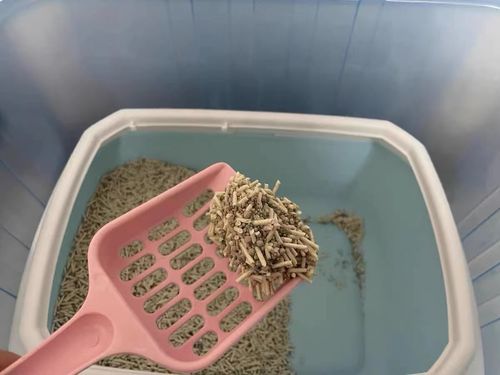 Customer photo review of Michu Mixed Tofu Cat Litter, Heavy Duty Flushable Kitty Litter