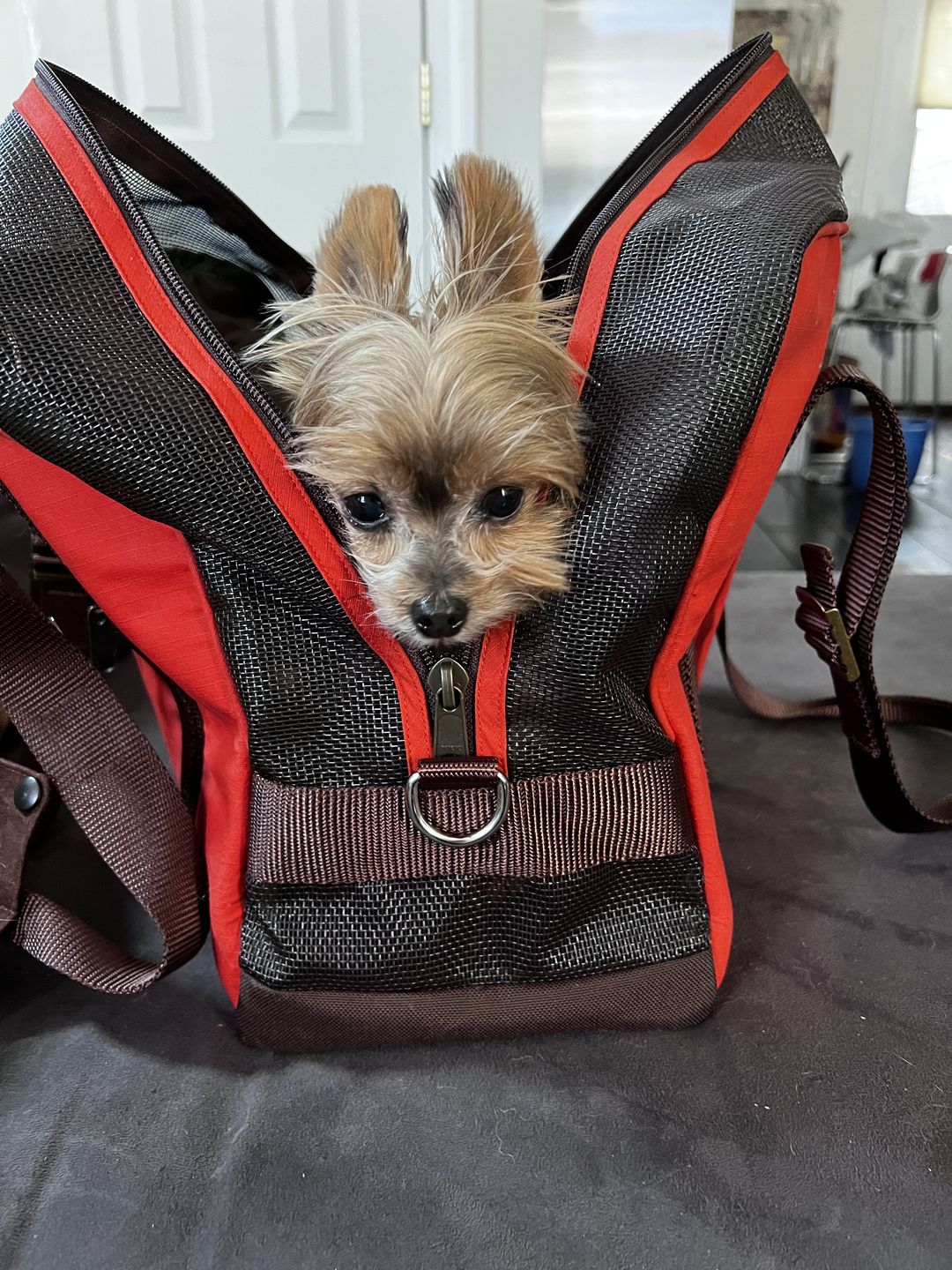 Customer photo review of Cotton Ripstop Duffle