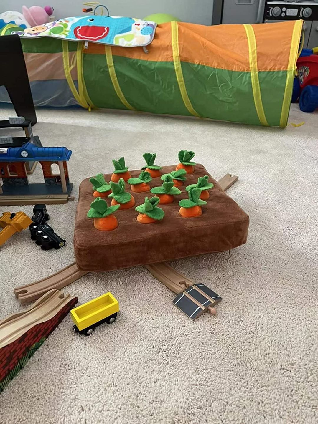 Customer photo review of Carrot Farm