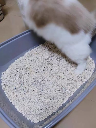 Customer photo review of Michu Mixed Tofu Cat Litter, Heavy Duty Flushable Kitty Litter