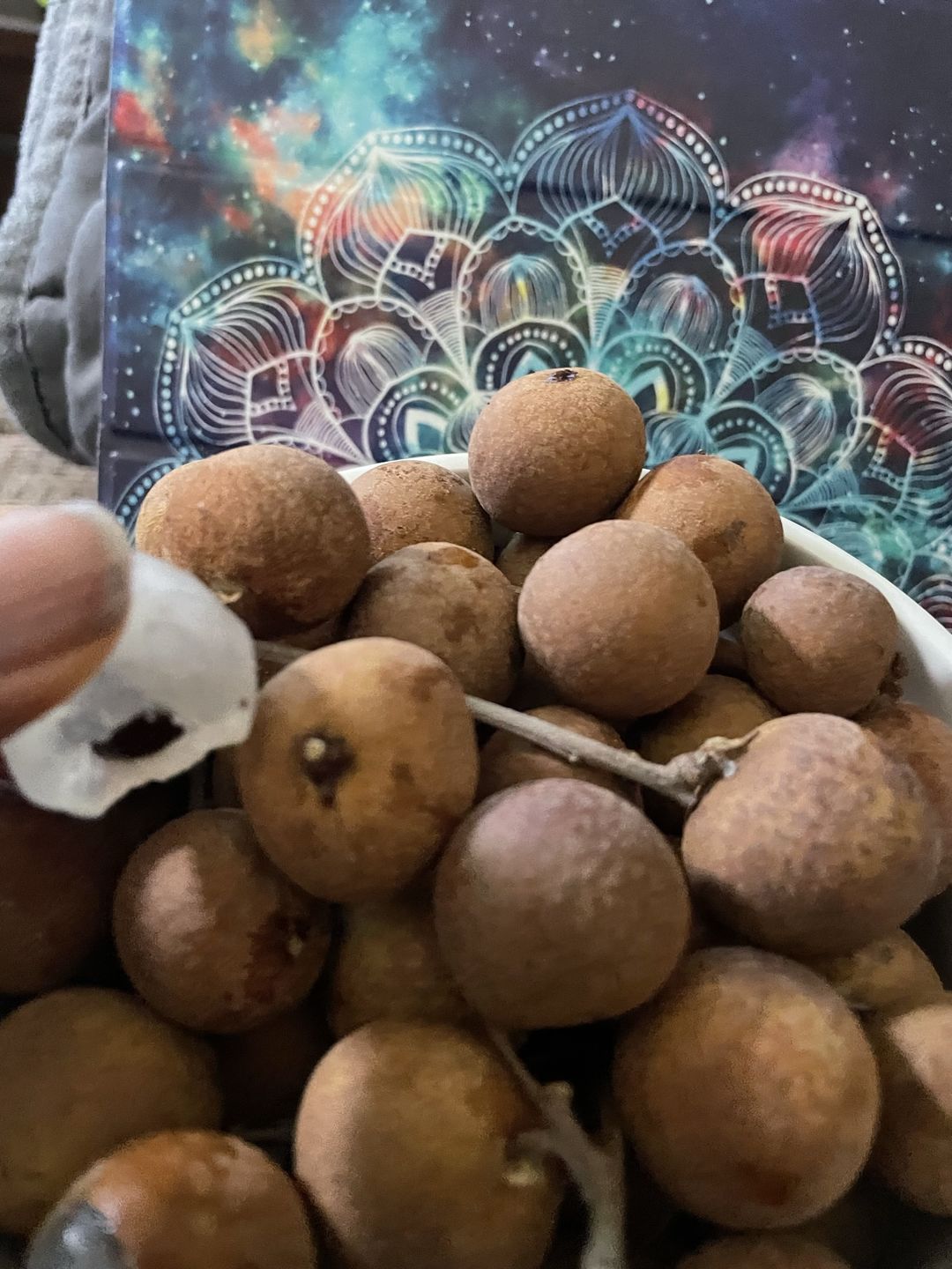Customer photo review of Longan Box