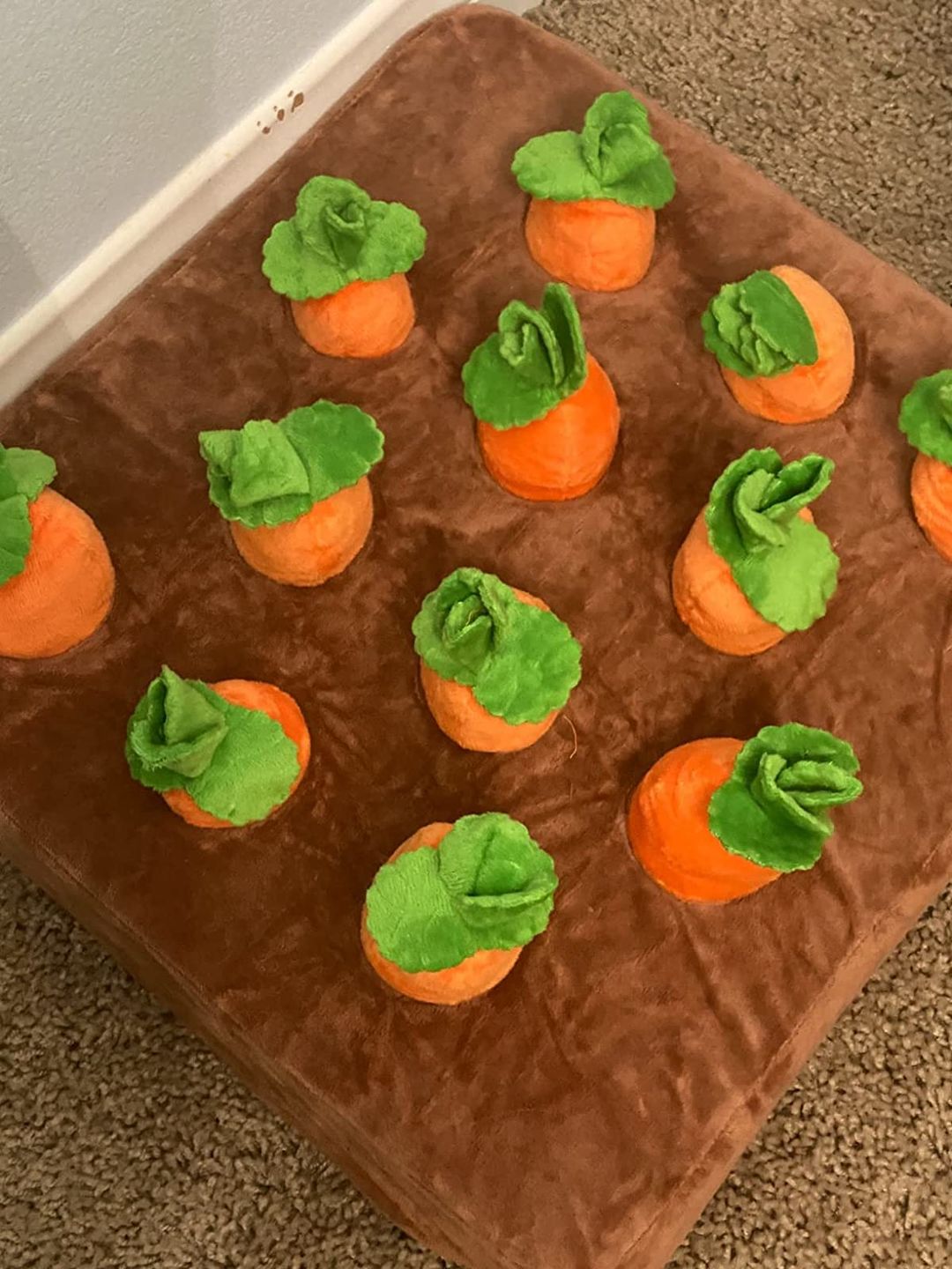 Customer photo review of Carrot Farm