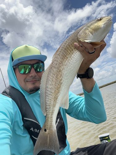 Customer photo review of THE DORADO (flat)