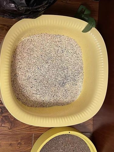 Customer photo review of Michu Macaron High Edge Open Style Extra Large Cat Litter Box, Scoop Included