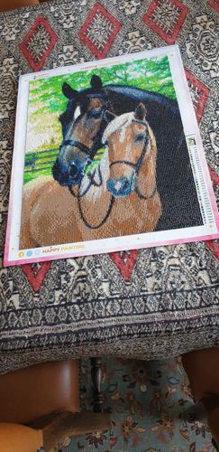 Customer photo review of Zwart En Bruin Paard