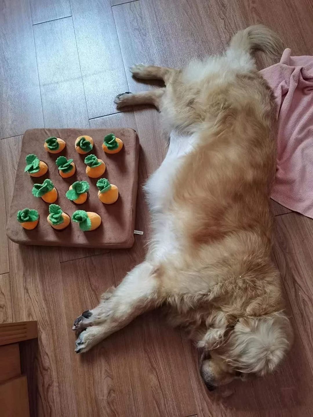 Customer photo review of Carrot Farm