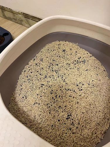 Customer photo review of Michu Mixed Tofu Cat Litter, Heavy Duty Flushable Kitty Litter