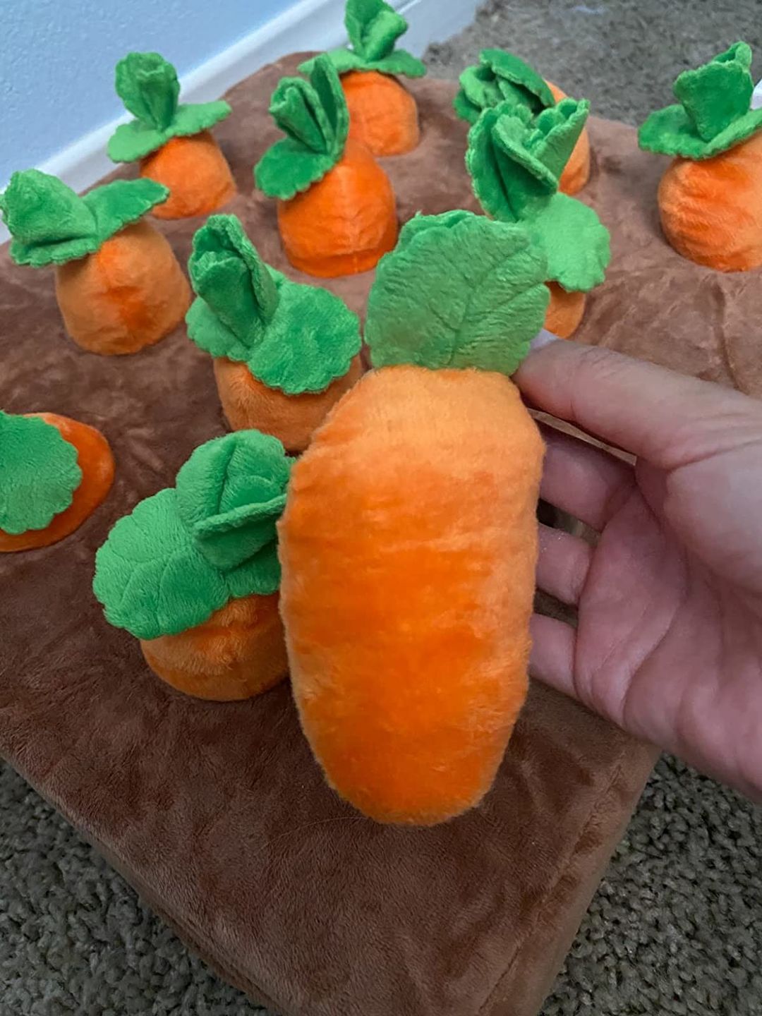 Customer photo review of Carrot Farm