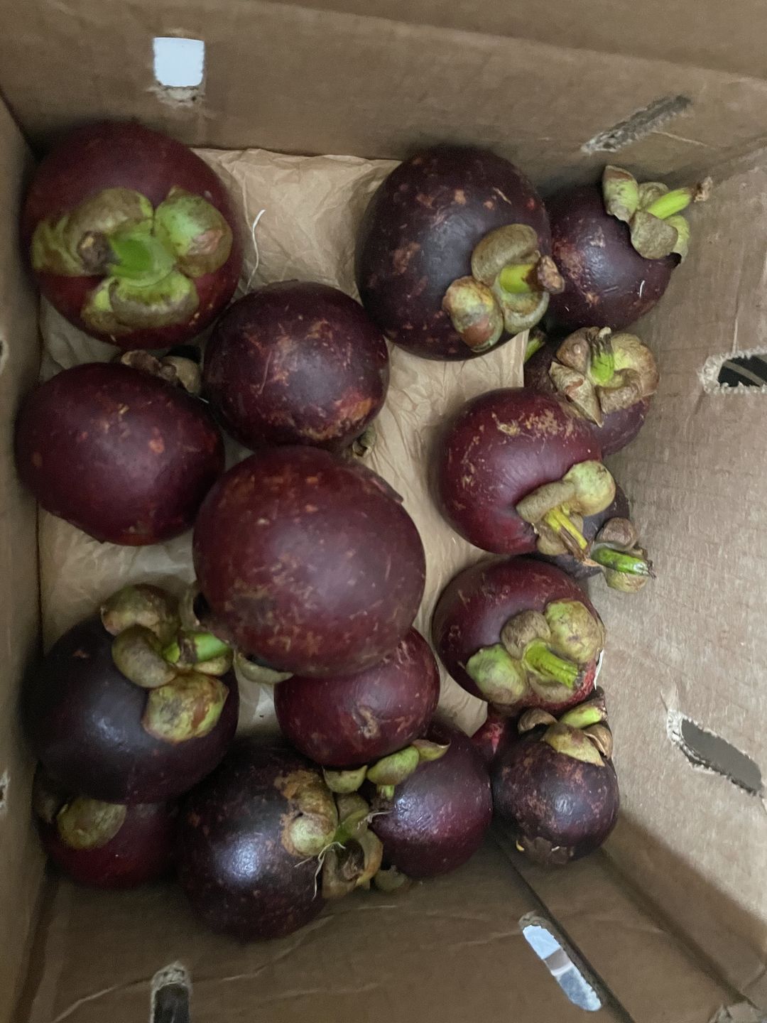 Customer photo review of Mangosteen Box *PRE-ORDER*