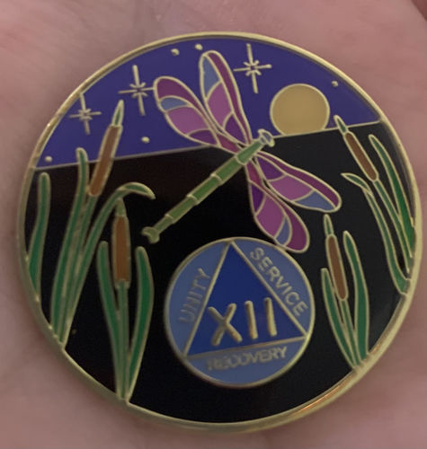 Customer photo review of 1 to 60 Year Dragonfly 9th Step Specialty AA Recovery Medallion - Tri-Plated Chip/Coin