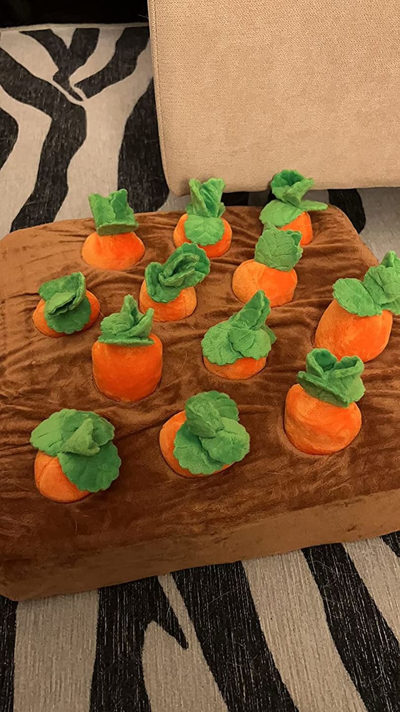 Customer photo review of Carrot Farm