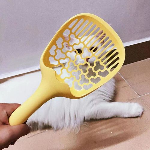 Customer photo review of Michu Macaron High Edge Open Style Extra Large Cat Litter Box, Scoop Included