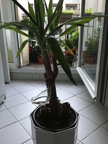 Customer photo review of Mon petit oiseau - Le Jardin de Mamie®