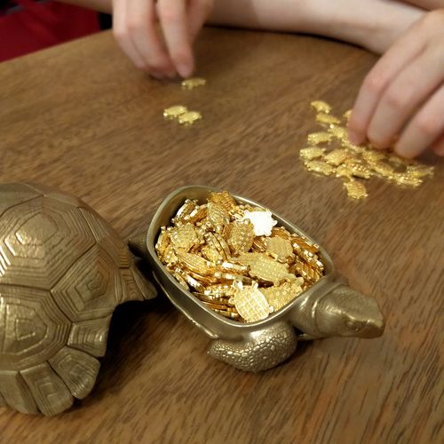 Customer photo review of Bronze Tortoise Box