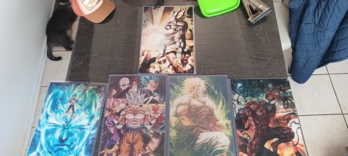 Customer photo review of 3D Triple Transition [Stay Right Where You Are] Lenticular Print