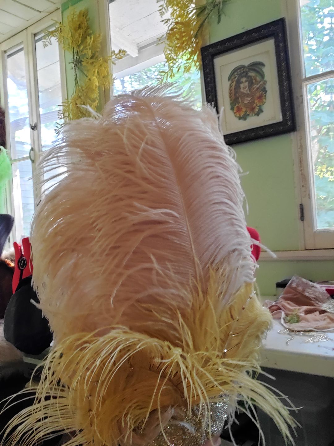 Customer photo review of Ostrich Wing Feathers | Ostrich Plumes