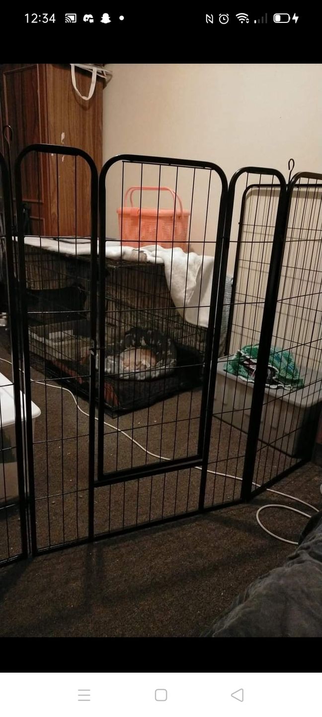 Customer photo review of PaWz 8 Panel Pet Dog Playpen