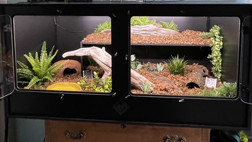 Customer photo review of XT4 (48Lx24Dx24H) - STACKABLE