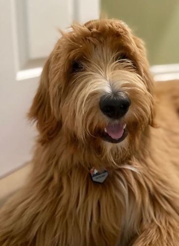 Customer photo review of Explorer Silicone