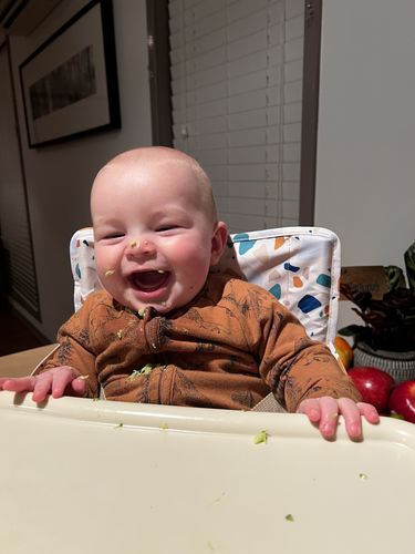 Customer photo review of Charlie baby chair v2